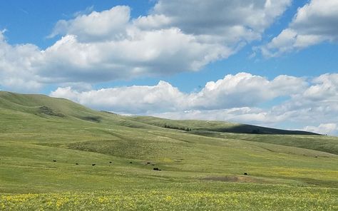 West Virginia, Wyoming, Nature, Wyoming Plains, Plains Landscape, Grassland Habitat, Great Plains, Nature Conservation, Idea Board