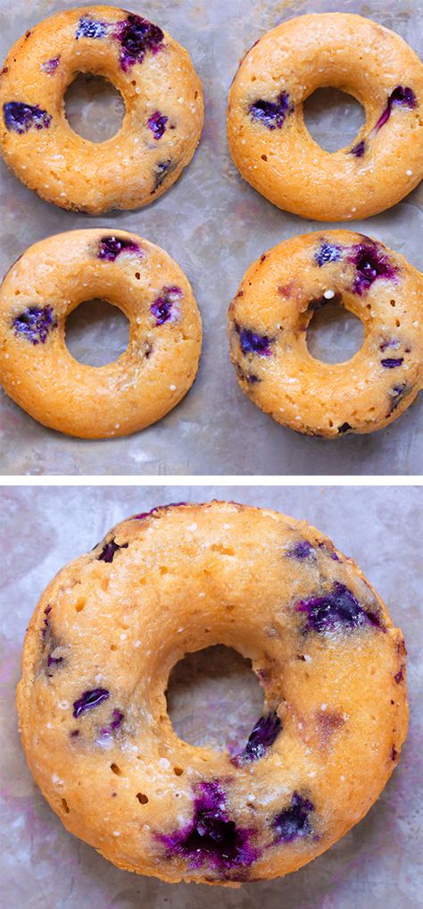 Deliciously healthy blueberry baked donuts that are light, soft, and perfect for a vegan healthy breakfast! Healthy Sweets, Weight Watchers Desserts, Blueberry Bagels, Weight Watcher Desserts, Blueberry Donuts, Blueberry Recipes, Baked Donuts, Sugar Free Desserts, Sugar Free Recipes