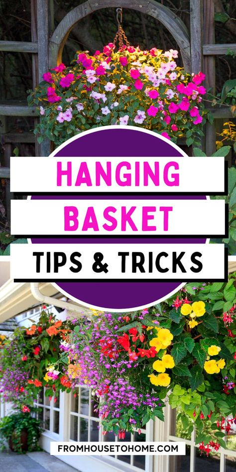 Pergola Hanging Baskets, Hanging Planters Outdoor, Hillside Gardening, Hanging Basket Garden, Hanging Plants Outdoor, Porch Plants, Porch Balcony, Plants For Hanging Baskets, Flower Baskets