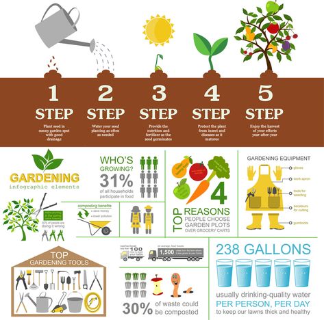 photos: What You Might Need to Plant a Garden Gardening Infographic, Work Infographic, Infographic Elements, Garden Plots, Growing Gardens, Garden Equipment, Tools Set, Work Tools, Growing Herbs