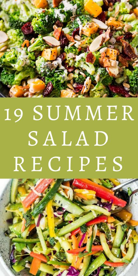 Summertime is perfect for salads! You can make a fresh, healthy, and easy salad for yourself, or bring one of these delicious recipes as a side dish for a barbecue or picnic. This list has pasta salad, chicken salad, salad with fruit, greens, and everything in between. These summer salad recipes are mostly vegetarian, with a few that include meat. Don't miss these 19 easy, healthy, and delicious summer salad recipes! Perfect for lunch or dinner, for yourself, or for a crowd. Pasta Salad Chicken, Summer Salad Recipes Healthy, Healthy Summer Salad Recipes, Salad With Fruit, Salad Mixes, Fresh Summer Salad, Salad Chicken, Resep Salad, Salad Salad