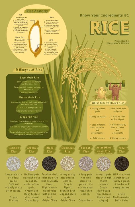 Rice is one of the most important crops in the world.   More than half of the people around the world eat rice.  There are many types of rice and people make various dishes with it.  *Click link for more information and food illustrations! Poster With Information, Food Infographic Poster, Rice Poster Design Ideas, Rice Poster Design, Rice Infographic, Informative Poster Design, Food Infographic Design, Different Types Of Rice, Rice Illustration