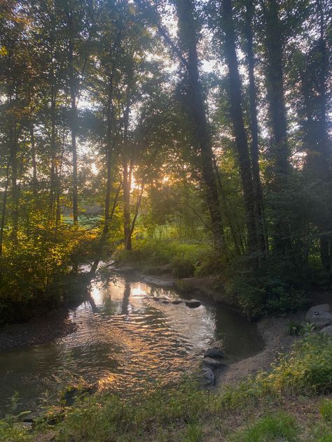 love taking a walk through the forest and just being able to take a moment to enjoy this view<3 Taman Vintage, Taman Air, Forest Core, Image Nature, Pretty Landscapes, Cottage Core Aesthetic, Cottagecore Aesthetic, Alam Yang Indah, Alam Semula Jadi