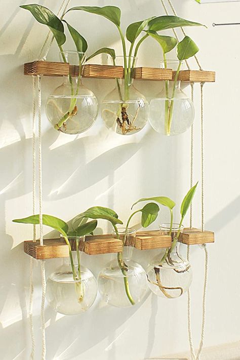 This wall hanging planter is stylish and functional all at the same time! It's gorgeous when hanging and gives a lot of room for your propagations to climb.If you are looking for a more beautiful propagators to replace the jars in front of your window, this is a good choice! Plant Propagation Station, Lab Glassware, Wall Hanging Plant, Propagation Station, Bulb Vase, Plant Propagation, Diy Plant Hanger, Decoration Plante, Unique Planter