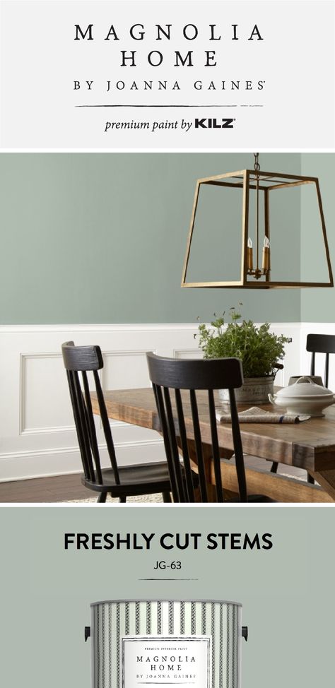 The pastel green color of Freshly Cut Stems, from the Magnolia Home by Joanna Gaines® Paint collection, is a gorgeous addition to this traditional farmhouse dining room. A gold light fixture, rustic wood table, and neutral accent colors help to add a modern twist to this space. Click below for more color details. Farmhouse Dining Lighting, Joanna Gaines Light Fixtures, Farmhouse Dining Room Lighting, Dining Light Fixtures, Gaines Farmhouse, Dining Room Paint Colors, Green Dining Room, Paint Collection, Farmhouse Dining Rooms Decor