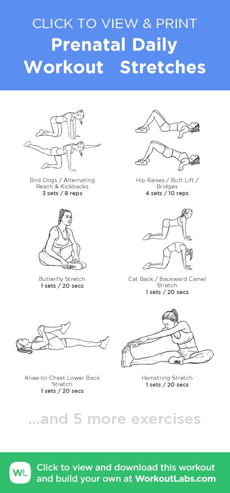 Prenatal Daily Workout Stretches – click to view and print this illustrated exercise plan created with #WorkoutLabsFit Prenatal Stretches, Stretches Workout, Prenatal Workout Plan, Maternity Fitness, Workout Stretches, First Trimester Workout, Stretches Before Workout, Prenatal Fitness, Prenatal Pilates