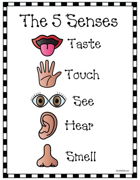 5 Senses Anchor Chart, Senses Anchor Chart, 5 Senses Craft, 5 Senses Preschool, Five Senses Worksheet, Five Senses Preschool, 5 Senses Activities, Senses Preschool, The 5 Senses