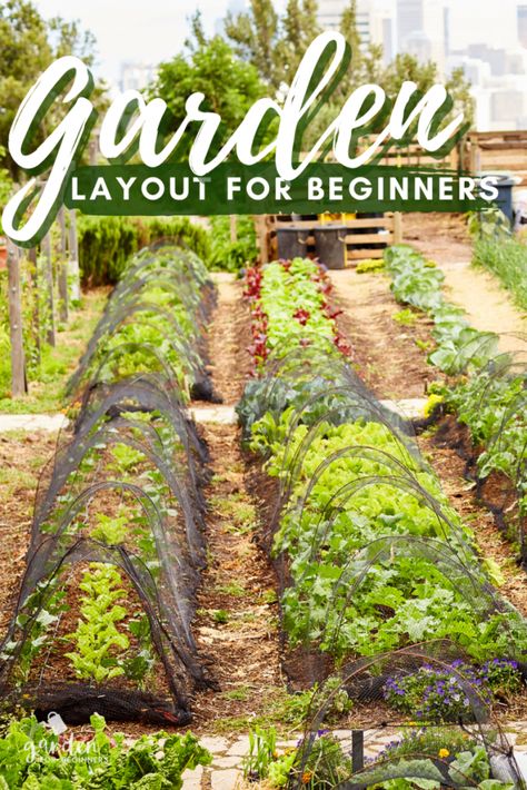 In Ground Vegetable Garden Design, Garden Planting Layout, Food Garden Layout, Fruit Garden Layout, Raised Bed Garden Layout, Veggie Garden Layout, Planting Layout, Vegetable Garden Layout Design, Vegetable Garden Layout