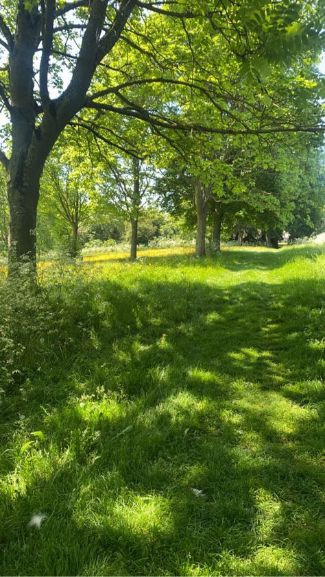 Bonito, Nature, Sunny Green Nature Aesthetic, Garden Summer Aesthetic, Summer Trees Aesthetic, Summer Grass Aesthetic, Green Outdoor Aesthetic, Grass Aesthetic Wallpaper, Nature Astethic