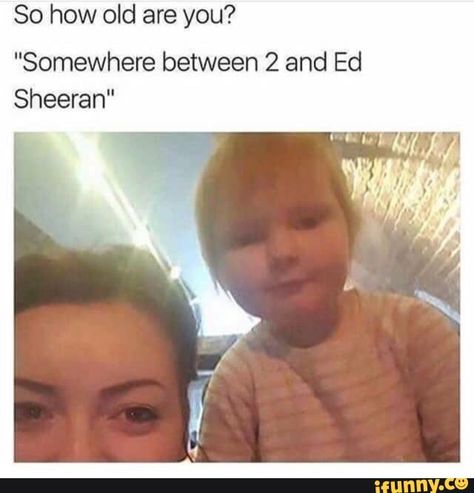 So how old are you? "Somewhere between 2 and Ed Sheeran" – popular memes on the site iFunny.co #edsheeran #celebrities #so #how #old #somewhere #ed #sheeran #pic Ed Sheeran Memes, Funny Clean, That's Hilarious, Mum Ideas, 9gag Funny, Meme Comics, Clean Memes, Crazy Stuff, Clean Humor