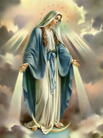 blessed virgin mary december | ... the Immaculate Conception of the Blessed Virgin Mary | one tiny violet Immaculate Mary, Panna Marie, مريم العذراء, Assumption Of Mary, Blessed Mary, Maria Magdalena, Mama Mary, Religious Pictures, Queen Of Heaven