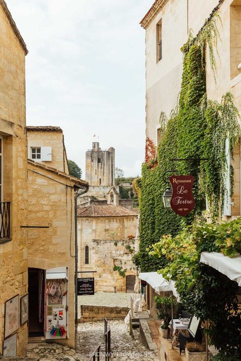 11 Best Things to do in Saint Emilion, France — Bronwyn Townsend Bordeaux, Wine Tasting, France City, France Aesthetic, St Emilion, Medieval Town, France Travel, South Of France, Unesco World Heritage