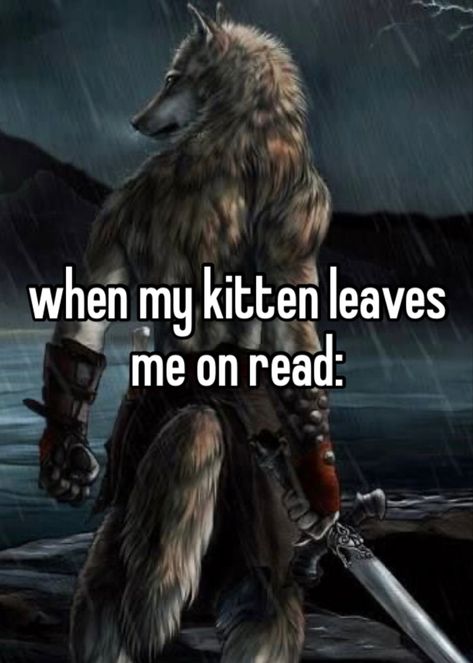 Alpha Wolf Memes Hilarious, Alpha Wolf Pictures, Emo Alpha Wolf, Alpha Wolf Quotes, Alpha Wolf Wallpaper, Cringe Wolf, Im The Alpha, Alpha Male Wolf, Alpha Wolf Art