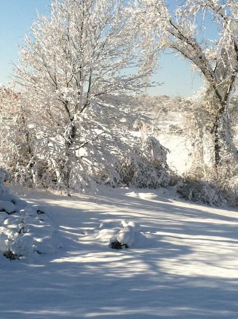 bright sunny day after the snow Snowy Day Aesthetic Cozy, Sunny Winter Day Aesthetic, Sunny Snowy Day, Sunny Winter Aesthetic, Snow Day Aesthetic, Sunny Winter Day, Bright Sunny Day, Sunny Winter, Sun Aesthetic