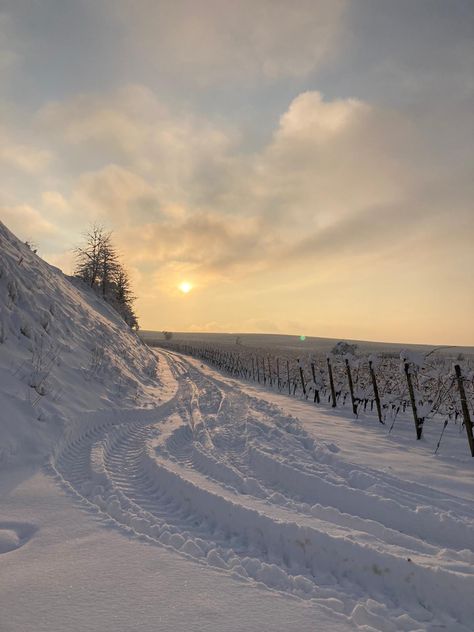 Snow Snow Day Aesthetic, January Aesthetic, Spring Snow, Wallpaper Winter, Snow In Summer, Winter Survival, I Love Snow, Snow Days, Sky Pictures