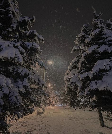 Ranboo Core, Sleep Playlist, Snow Night, Winter Love, Night Vibes, Winter Scenery, Snowy Day, Winter Pictures, Winter Wonder