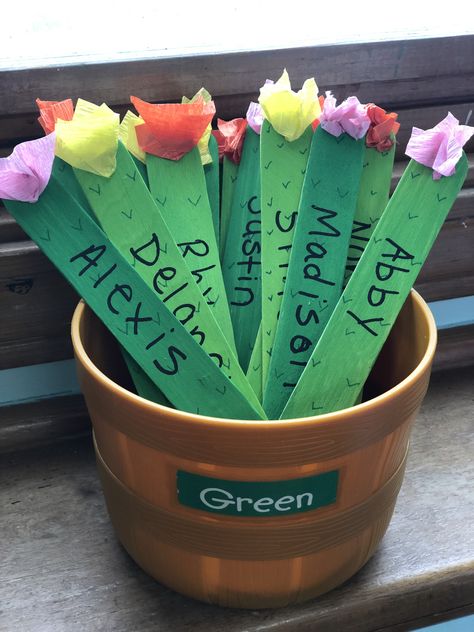 Fiesta theme Cactus name sticks Garden Theme Classroom, Plants Classroom, Classroom Goals, Preschool Rooms, Prek Classroom, Preschool Classroom Decor, Classroom Makeover, Elementary Classroom Decor, Fiesta Theme