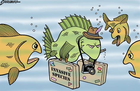 This Cartoon Demonstrates How Invasive Species Move In To An Environment and Ruin It Invasive Species Poster, Review Aesthetic, Plants Identification, Interactive Poster, Girl Scouts Cadettes, English Speech, Daily Cartoon, Agriculture Education, School Cartoon