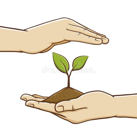 Pair of Hand Holding Soil And Plant. Vector illustration of pair of hand protect #Sponsored , #Ad, #ad, #Holding, #Pair, #Plant, #Soil Agriculture Related Drawings, Soil Conservation Drawings, People Planting Trees Drawing, Soil Illustration, Soil Drawing, Plant Vector Illustration, Save Soil, Seed Illustration, Soil Conservation