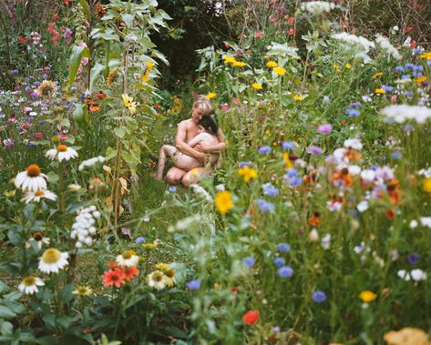 Garden Exhibition, Saul Leiter, Berenice Abbott, Wild Garden, Streets Of New York, Film Photography 35mm, Forest Cat, Skin To Skin, Garden Photography