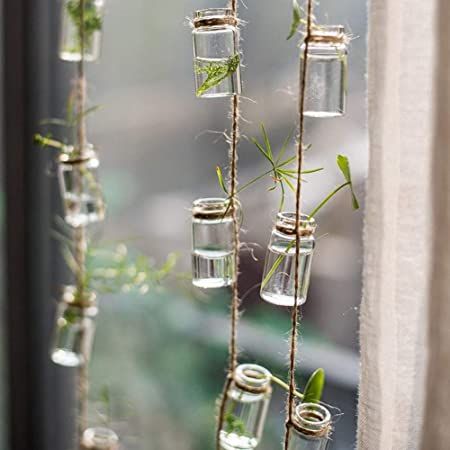 Bottle Display Ideas, Plants In Glass Jars, Hanging Propagation, Hanging Glass Planters, Indoor Plant Wall, Hanging Plant Wall, Mini Glass Bottles, Hanging Plant Holder, Bottle Display