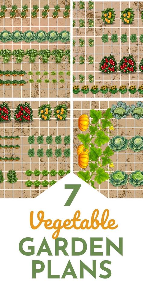 Planning a vegetable garden but all you have room for is a 10 x 10 space? You might be surprised by what you can grow. Here are sample garden plans for your smaller garden Garden Planting Layout, Vegetable Garden Plans, Veggie Garden Layout, Planting Layout, Vegetable Garden Layout Design, Small Garden Layout, Kleiner Pool Design, Garden Planning Layout, Garden Bed Layout