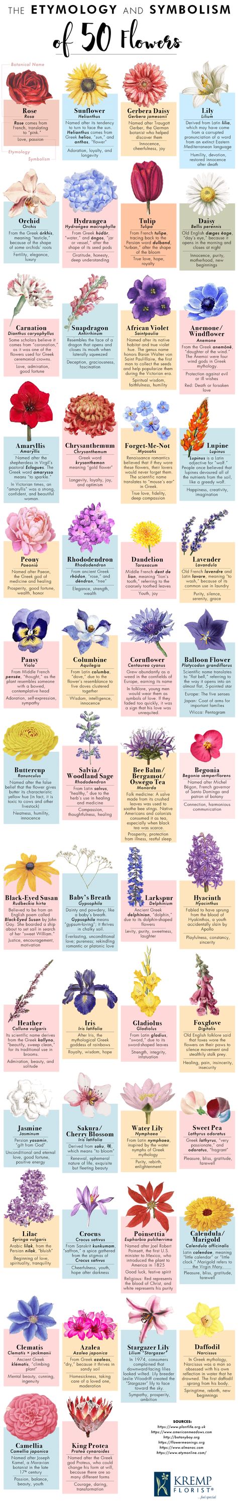 Pretty Flower Names, Projek Mengait, Lukisan Fesyen, Hadiah Diy, Different Kinds Of Flowers, Magia Das Ervas, نباتات منزلية, Corak Bunga, Flower Meanings