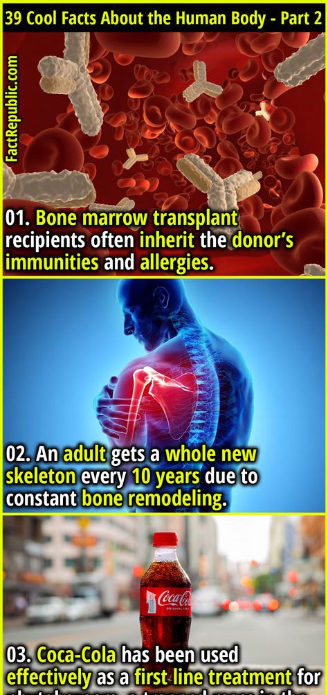 39 Cool Facts About the Human Body That’ll Just Blow Your Mind - Part 2 - Fact Republic Terrifying Facts, Interesting Facts About Humans, Interesting Health Facts, Science Facts Mind Blown, Fun Facts Mind Blown, Human Body Facts, Useless Knowledge, Facts About Humans, Fact Republic