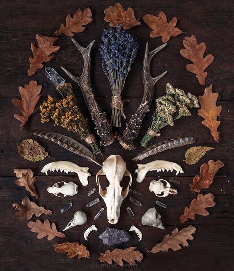 Folk Magic Aesthetic, Animal Bones Aesthetic, Folk Horror Aesthetic, Eclectic Witch Aesthetic, Witch Objects, Appalachian Folk Magic, Mexican Witch, Botanical Goth, Witchy Botanical