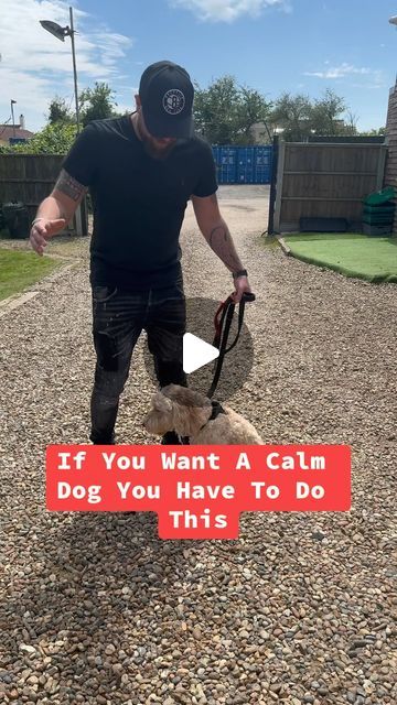 Southend Dog Training on Instagram: "If you want to keep your dog calm do this   #dogs #dogtraining #viral" Dog Training Tips, Dog Routine, Dog Training Videos, Calm Dogs, Training Videos, Dog Activities, Training Day, Puppy Training, Dog Stuff