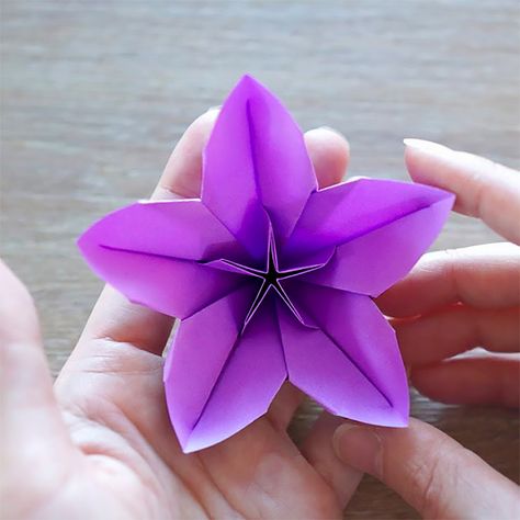 Orgamini Flowers Step By Step, Easy Origami Flowers For Beginners, Origami Flowers Easy Step By Step Videos, Oragami Ideas Step By Step Flower, Paper Flowers Craft Easy Step By Step, Origami Flowers Easy Step By Step, Simple Origami Flower, Origami Flowers Diy, Easy Origami Flower