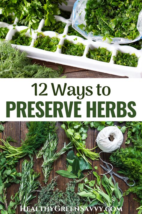 Want to preserve some of those delicious herbs from your garden? Check out these 12 ways to preserve herbs and enjoy the flavors of summer all year round. | preserving herbs | how to preserve herbs | seasonal eating | home food preservation | Herb Preservation, Preserve Herbs, Storing Herbs, Solar Punk, Preserving Herbs, Seasonal Eating, Home Canning Recipes, Dry Herbs, Homesteading Ideas