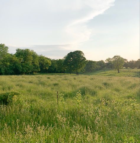 Nature, Field Surrounded By Trees, Open Meadow Aesthetic, Pasture Aesthetic, Grassy Field Aesthetic, Plains Aesthetic, Open Field Aesthetic, Kentucky Hills, Grassland Aesthetic