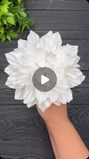 Origami Studio DIY 💥 Paper Craft Tutorials on Instagram: "WoW! Amazing craft idea!! 😍 #papercrafts #easycrafts #diyproject #diy #craft #giftideas #foryou #fyp" Diy White Flowers, Napkin Crafts Ideas, Easy Paper Flowers Tutorial, Diy Flowers Paper, Mina Okabe, Flower Crafts Kids, Paper Flowers Diy Easy, Origami Cards, Diy Floral Decor