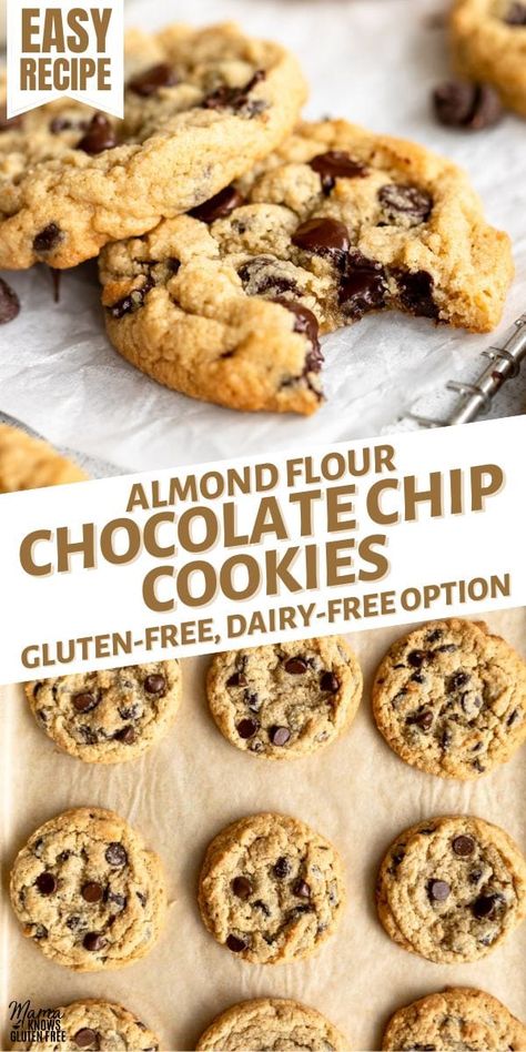 This recipe for chewy, nutty almond flour chocolate chip cookies is so easy, plus they're naturally gluten-free. Almond Cookies Recipes Easy, Almond Cookies Chinese, Almond Cookies Gluten Free, Almond Cookies Recipes, Gluten Cookies, Crawfish Dishes, Zucchini Tortilla, Almond Flour Chocolate Chip, Almond Flour Chocolate Chip Cookies