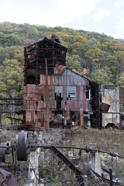 Hornet, Appalachian House Aesthetic, Hillbilly Gothic, Appalachian Cryptids, Appalachian Mountains Aesthetic, Appalachian Gothic Aesthetic, Tennessee Appalachia, Appalachian Magic, Appalachian Aesthetic