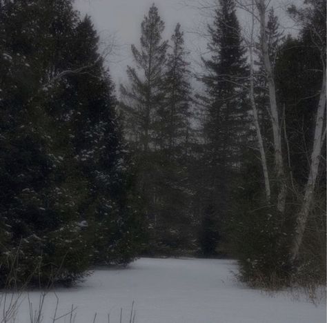 Winter Twilight Aesthetic, Twilight Snow Aesthetic, Midwinter Aesthetic, Quadeca Aesthetic, Winter Woods Aesthetic, Twilight Winter, Cold Forest, Life Recently, Forest Snow