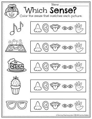 5 Senses Match - Preschool Worksheet Five Senses Kindergarten Worksheets, 5 Senses Ideas For Preschool, Senses Worksheets Kindergarten, 5senses Activities For Toddlers, Our Senses Preschool, Sight Sense Crafts Preschool, My Body For Preschoolers, Five Senses Art For Preschool, Smelling Preschool Activities