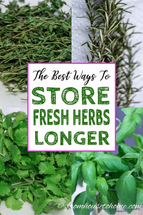 Herb Remedies, Preserve Herbs, Store Fresh Herbs, Store Produce, Cooking With Fresh Herbs, Rosemary Herb, Herb Storage, Storing Vegetables, Preserving Herbs