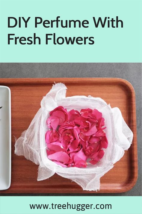 How To Make Your Own Perfume Oil, Making Perfume With Flowers, Flower Perfume Diy, How To Make Homemade Perfume With Flowers, Diy Rose Perfume, How To Make Rose Perfume, How To Make Perfume With Flowers, How To Make Perfume Out Of Flowers, Homemade Perfume With Flowers