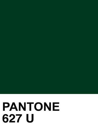 Hi y'all! Time for a "one match wonder". Darkest forest green Pantone Verde, Pantone Green, Colour Names, Color Menta, Green Color Schemes, Forest Green Color, Emerald Color, Bedroom Green, Colour Board