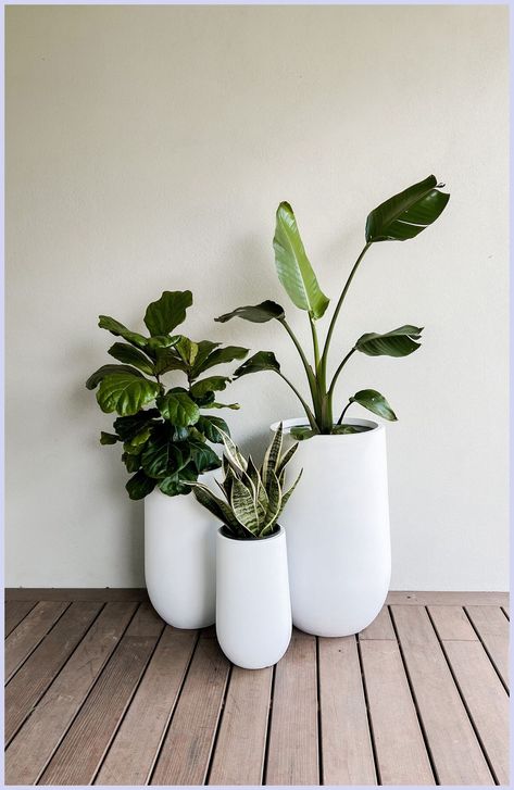 [Promotion] 38 Garden Pots Ideas Outdoor Planters Patio Tricks You Need To Know Now #gardenpotsideasoutdoorplanterspatio Set Of 3 Potted Plants Outdoor, Plants In White Pots, White Pots For Plants Outdoor, White Balcony Decor, Small Patio Set Up Ideas, Outdoor Pots Ideas, White Pot Plants, Plants In Pots Outdoor, Cute Plants Aesthetic