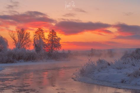 Nature, Winter Nature Aesthetic, February Vibes, Poland Winter, Landscape Studies, Red Barn Painting, Landscape Sketching, Growing Geraniums, Street Photography People