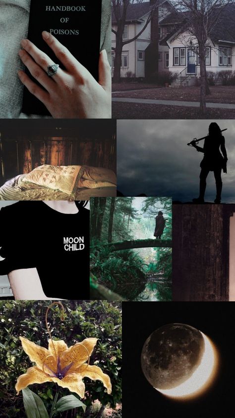 Zainab Core Aesthetic, Rebecca Aesthetic Core, Alireza Core, Israa Core, Prerna Core, Maira Core, Aziza Core, Kinga Core, Jayme Core