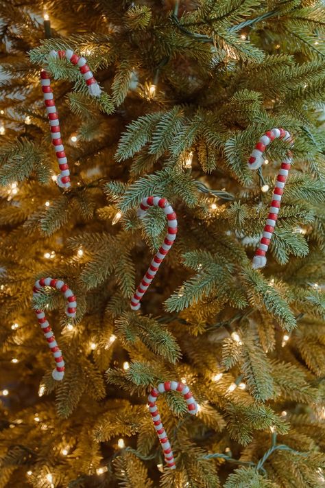 Candy Canes On Christmas Tree, Candy Cane Diy Decorations, Candy Canes Aesthetic, Candy Cane Aesthetic, Christmas Tree Candy Cane, Candy Cane Tree, Christmas Candy Cane Decorations, Candy Cane Decorations, Cardboard Diy