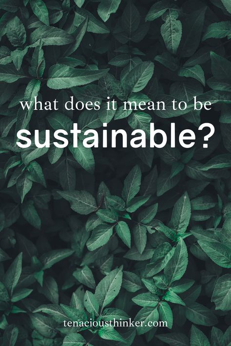 This introduction to sustainability talks about the history of the environmental movement, the impacts of industry on the environment and people, and ways to minimize our impacts on the environment. Many people are focusing on living more sustainably and eco-friendly. Did you know you can use minimalism to fast-track your environmentally conscious lifestyle?  #environmentalist #Environmentalism #ecoconscious #EcoLiving #EcoFriendly #ecolife #ecolifestyle #ecoblogger #greenliving #ecominimalism Sustainable Living Aesthetic, Saving The Earth, Conscious Lifestyle, Environmental Movement, Eco Life, Eco Lifestyle, Minimalism Lifestyle, Marketing Instagram, Conscious Living