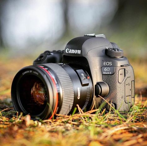 Cannon Camera, Kamera Dslr, Nikon D5000, Canon Dslr Camera, Camera Wallpaper, Best Dslr, फोटोग्राफी 101, Infrared Photography, Perspective Photography