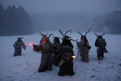 Gothic Christmas Aesthetic, Dark Christmas, Animal Costumes, Winter Festival, 다크 판타지, Arte Inspo, Winter Solstice, Christmas Aesthetic, Yule