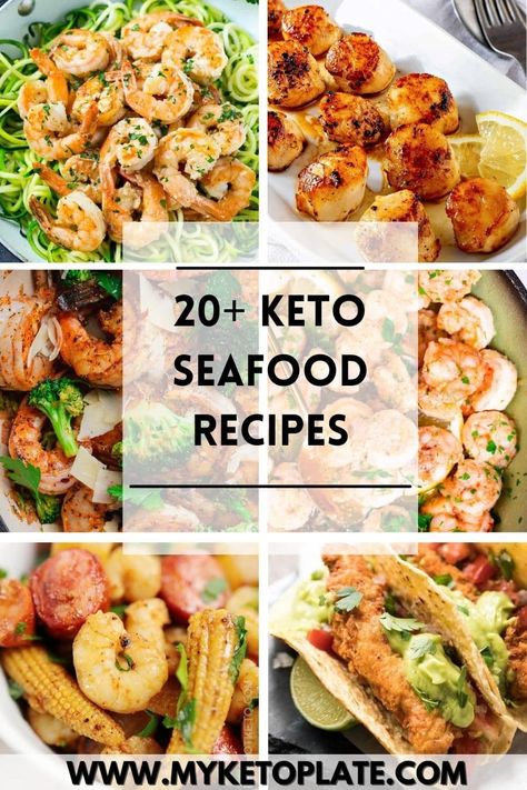 If you are a fan o seafood, then you've come to the right place. We've created a list with 20+ keto seafood recipes that are not only low-carb but also packed with many nutrients and delicious flavors. Low Carb Seafood Recipes, Low Carb Seafood, Keto Basics, Keto Seafood Recipes, Keto Shrimp Recipes, Keto Seafood, Delicious Seafood Recipes, Carb Dinner, Scallop Recipes