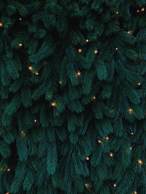 Kalėdos Green Christmas Wallpaper Aesthetic, Green Christmas Wallpaper, Christmas Tree Wallpaper Iphone, Christmas Wallpaper Aesthetic, Tree Wallpaper Iphone, Wallpaper Natal, Rain Aesthetic, Christmas Tree Wallpaper, Iphone Wallpaper Winter